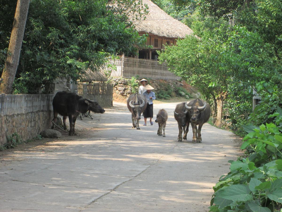 Dong Que Homestay-Tours-Motorbike, Car Rental, Hiking ห่าซาง ภายนอก รูปภาพ